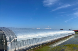 株式会社イノベックス